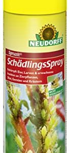 Neudorff Spruzit SchädlingsSpray – Effektive Bekämpfung von Schädlingen an Zierpflanzen und Gemüse, 400 ml