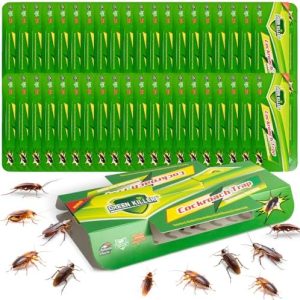 40 Stück Schabenfalle Klebefalle mit Lockstoff – Ungiftig & geruchlos für Küche & Abstellraum – Starke Klebefläche gegen