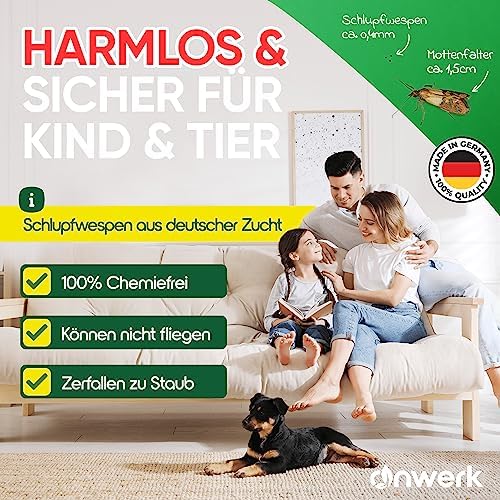 Schlupfwespen gegen Lebensmittelmotten - Effektive Bekämpfung für Ihre Küche - 4 Karten zur nachhaltigen Lösung