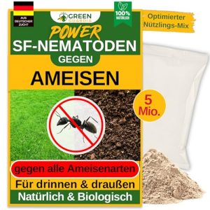 Super SF-Nematoden gegen Ameisen – 5 Mio. für 10m² – Umweltfreundliches, biologisches Mittel zur effektiven Ameisenbekäm