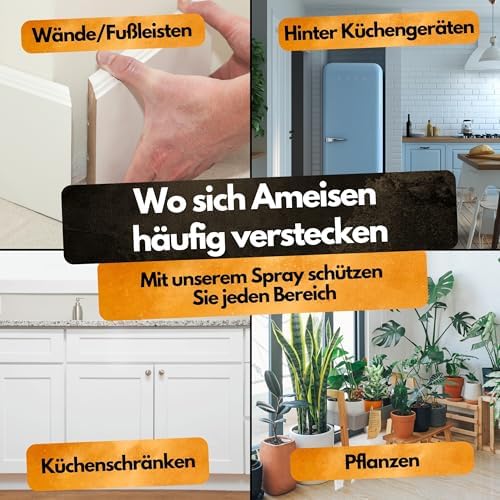 Schädlingsmeister Ameisen Abwehrspray 500 ml - Eukalyptus & Chrysanthemen Schutz für Innen & Außen - Effektives Ameisenm