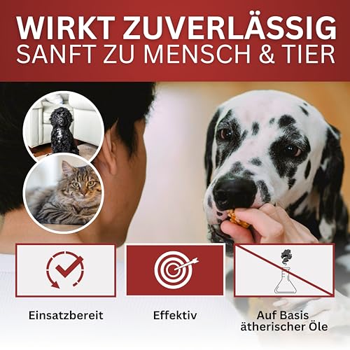 BIOFORMEL Mäuse Ex Spray Plus 1L - Effektive Mäuse- und Rattenabwehr für Innen und Außen - Geraniol-basiertes Mausspray