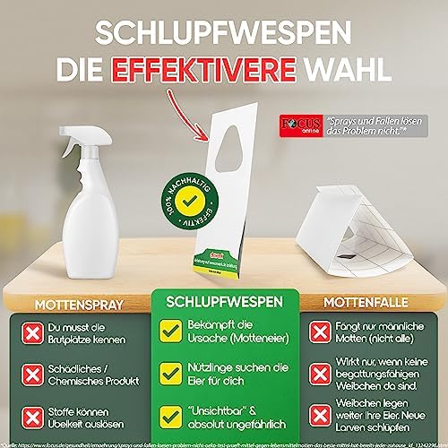 Schlupfwespen gegen Lebensmittelmotten - Effektive Bekämpfung für Ihre Küche - 4 Karten zur nachhaltigen Lösung