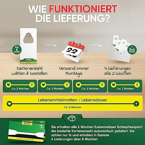 Schlupfwespen gegen Lebensmittelmotten - Effektive Bekämpfung für Ihre Küche - 4 Karten zur nachhaltigen Lösung